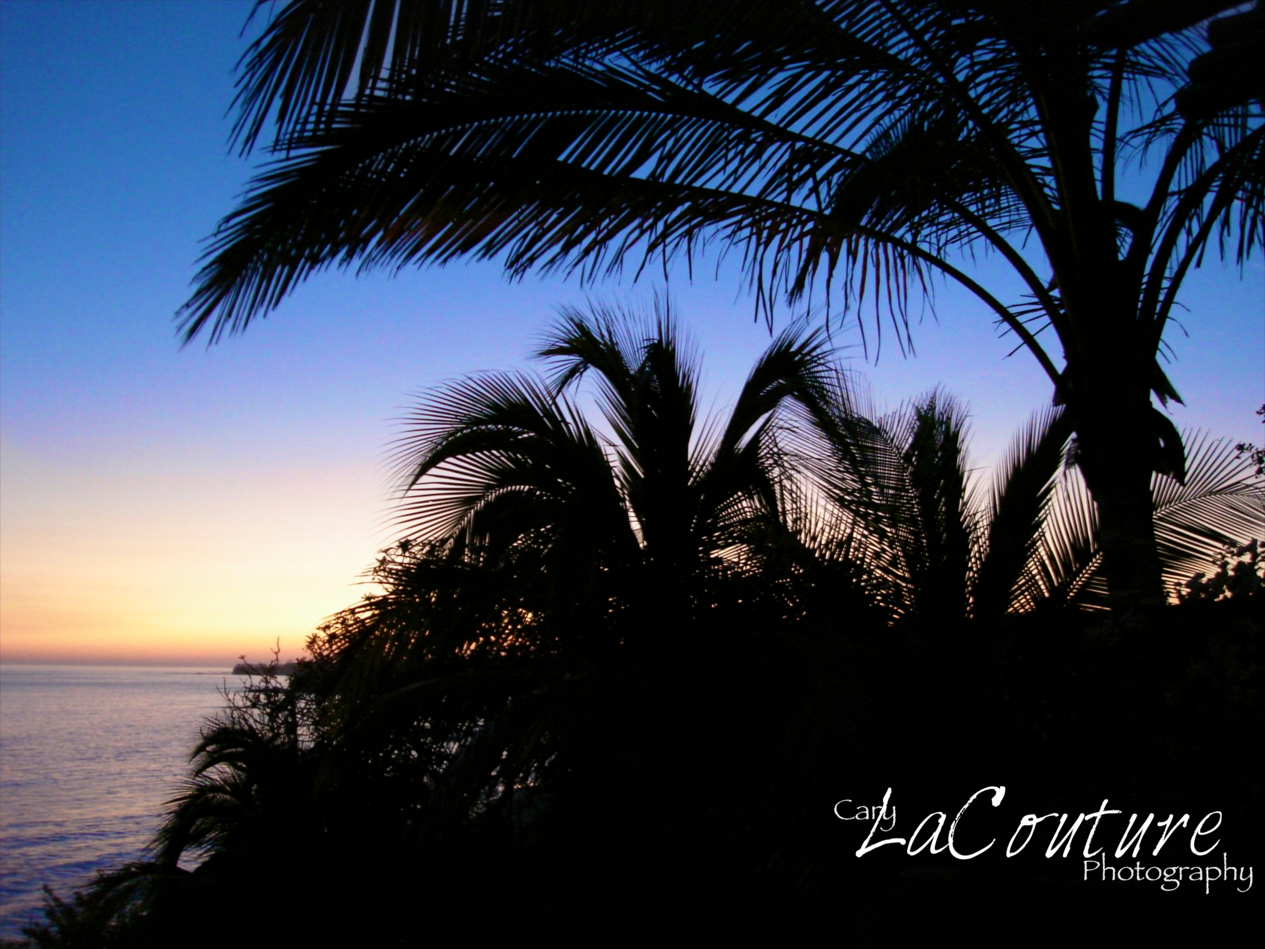 parker colorado dentist